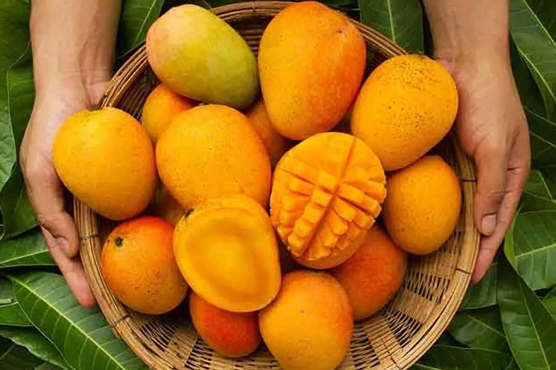 Fresh mango 1