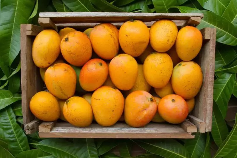 Fresh mango 2